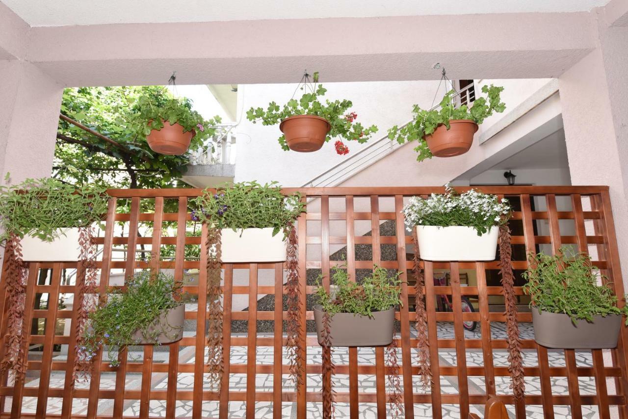 Guest House Zec Budva Dış mekan fotoğraf